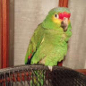 Meet your Posher, Terrie